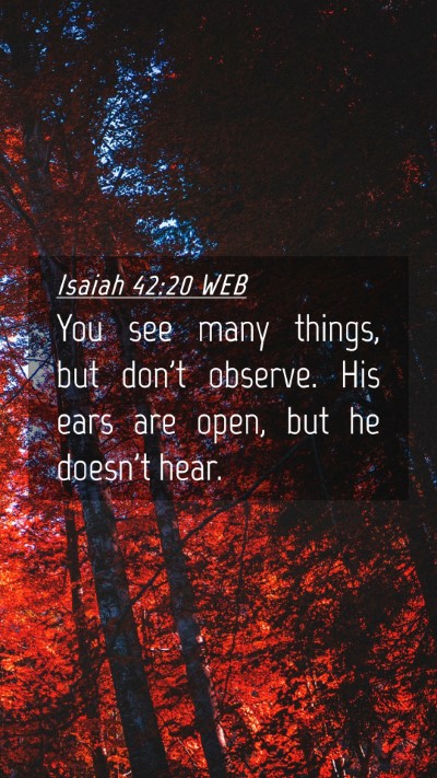 Picture 04 - Isaiah 42:20 WEB Mobile Phone Wallpaper - You see many things, but don't observe. His ears - Mobile Bible Verse Wallpaper