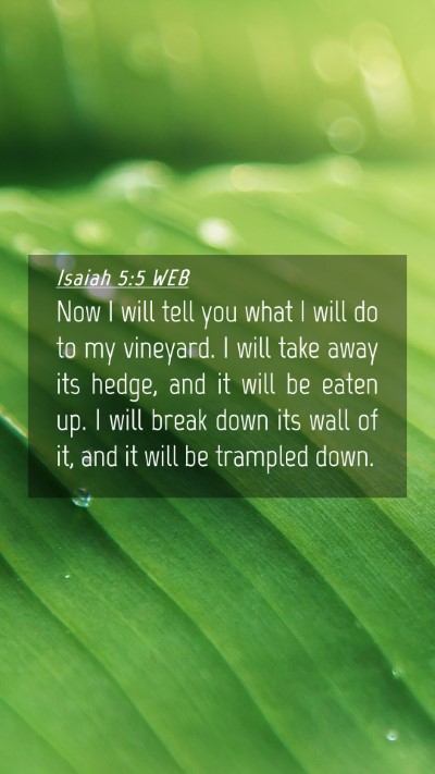 Picture 04 - Isaiah 5:5 WEB Mobile Phone Wallpaper - Now I will tell you what I will do to my - Mobile Bible Verse Wallpaper
