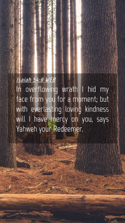 Picture 04 - Isaiah 54:8 WEB Mobile Phone Wallpaper - In overflowing wrath I hid my face from you for a - Mobile Bible Verse Wallpaper