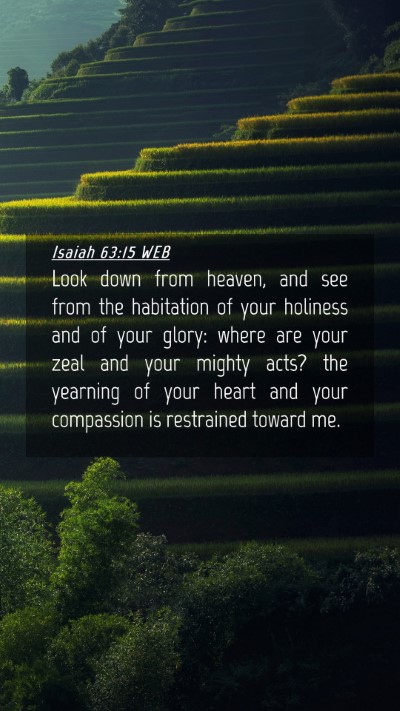 Picture 04 - Isaiah 63:15 WEB Mobile Phone Wallpaper - Look down from heaven, and see from the - Mobile Bible Verse Wallpaper