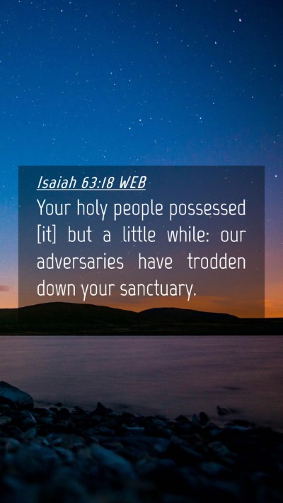 Picture 04 - Isaiah 63:18 WEB Mobile Phone Wallpaper - Your holy people possessed [it] but a little - Mobile Bible Verse Wallpaper