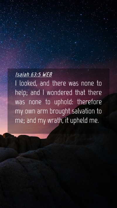 Picture 04 - Isaiah 63:5 WEB Mobile Phone Wallpaper - I looked, and there was none to help; and I - Mobile Bible Verse Wallpaper