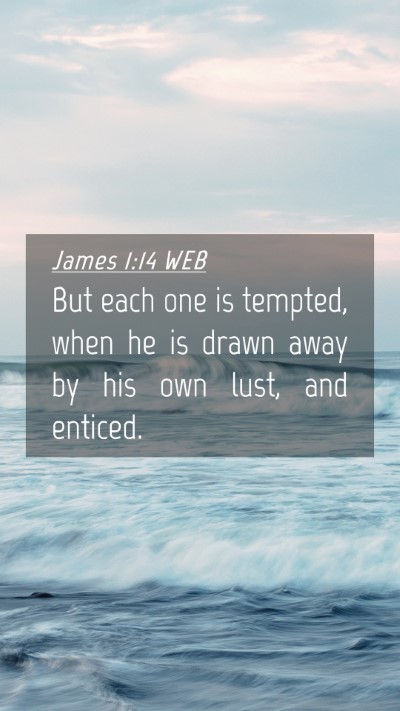 Picture 04 - James 1:14 WEB Mobile Phone Wallpaper - But each one is tempted, when he is drawn away by - Mobile Bible Verse Wallpaper