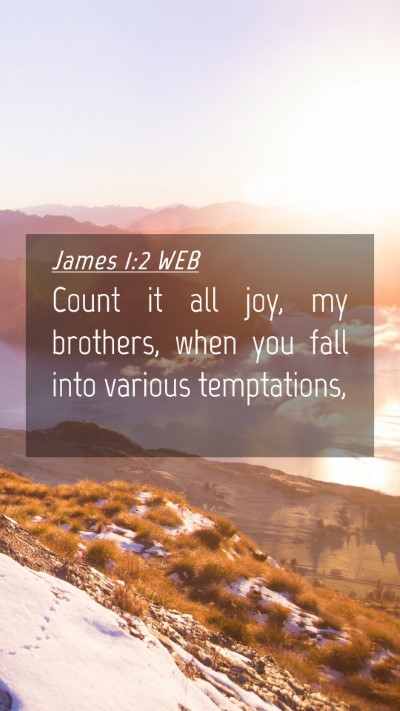 Picture 04 - James 1:2 WEB Mobile Phone Wallpaper - Count it all joy, my brothers, when you fall into - Mobile Bible Verse Wallpaper