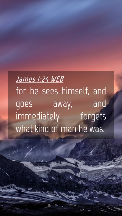 Picture 04 - James 1:24 WEB Mobile Phone Wallpaper - for he sees himself, and goes away, and - Mobile Bible Verse Wallpaper