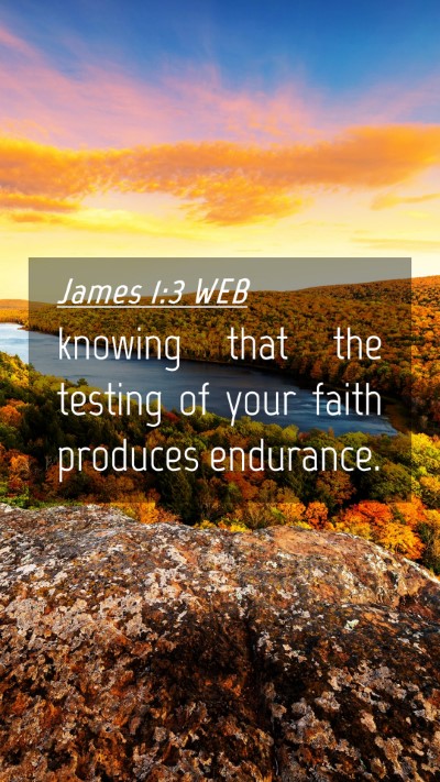 Picture 04 - James 1:3 WEB Mobile Phone Wallpaper - knowing that the testing of your faith produces - Mobile Bible Verse Wallpaper
