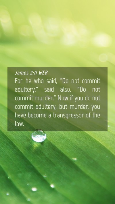 Picture 04 - James 2:11 WEB Mobile Phone Wallpaper - For he who said, 