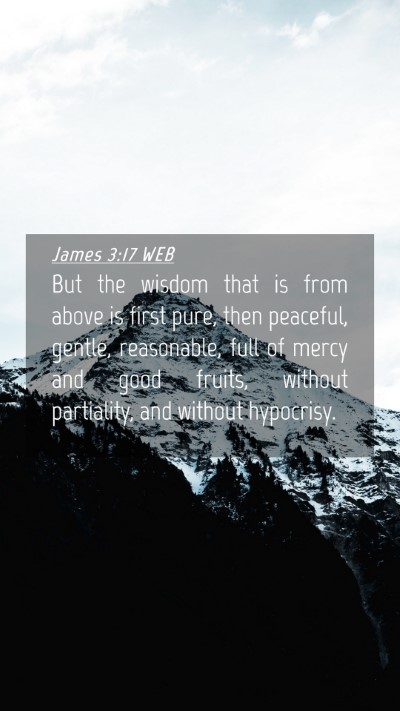 Picture 04 - James 3:17 WEB Mobile Phone Wallpaper - But the wisdom that is from above is first pure, - Mobile Bible Verse Wallpaper