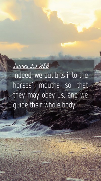 Picture 04 - James 3:3 WEB Mobile Phone Wallpaper - Indeed, we put bits into the horses' mouths so - Mobile Bible Verse Wallpaper