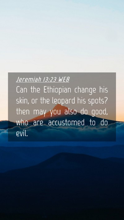 Picture 04 - Jeremiah 13:23 WEB Mobile Phone Wallpaper - Can the Ethiopian change his skin, or the leopard - Mobile Bible Verse Wallpaper