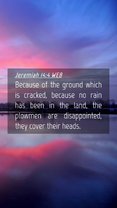 Picture 04 - Jeremiah 14:4 WEB Mobile Phone Wallpaper - Because of the ground which is cracked, because - Mobile Bible Verse Wallpaper