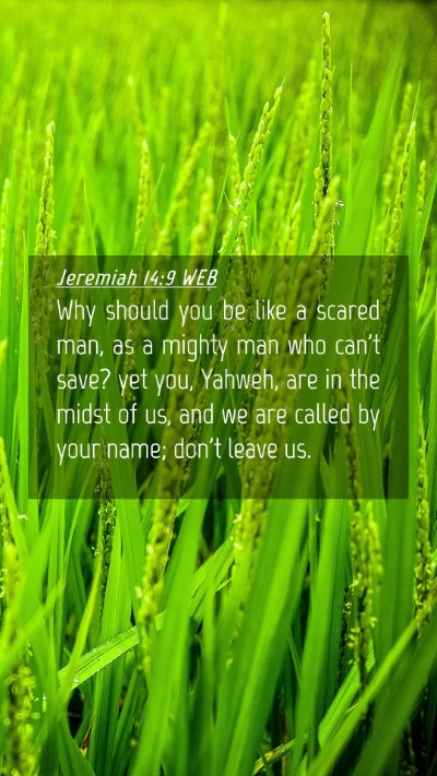 Picture 04 - Jeremiah 14:9 WEB Mobile Phone Wallpaper - Why should you be like a scared man, as a mighty - Mobile Bible Verse Wallpaper