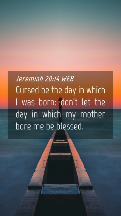Picture 04 - Jeremiah 20:14 WEB Mobile Phone Wallpaper - Cursed be the day in which I was born: don't let - Mobile Bible Verse Wallpaper