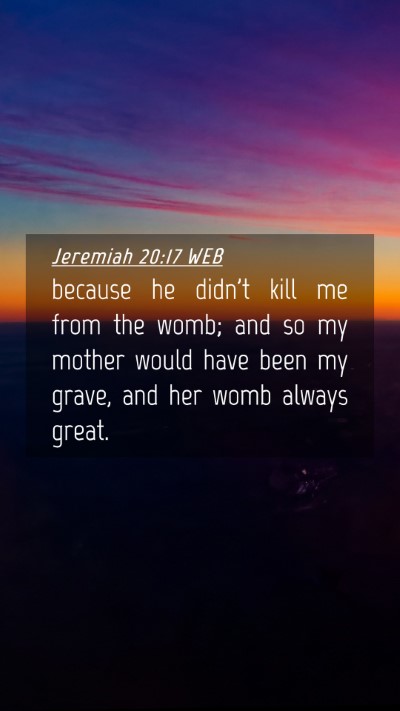 Picture 04 - Jeremiah 20:17 WEB Mobile Phone Wallpaper - because he didn't kill me from the womb; and so - Mobile Bible Verse Wallpaper