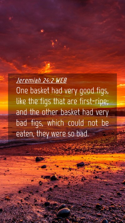 Picture 04 - Jeremiah 24:2 WEB Mobile Phone Wallpaper - One basket had very good figs, like the figs that - Mobile Bible Verse Wallpaper