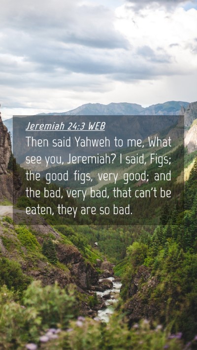 Picture 04 - Jeremiah 24:3 WEB Mobile Phone Wallpaper - Then said Yahweh to me, What see you, Jeremiah? I - Mobile Bible Verse Wallpaper