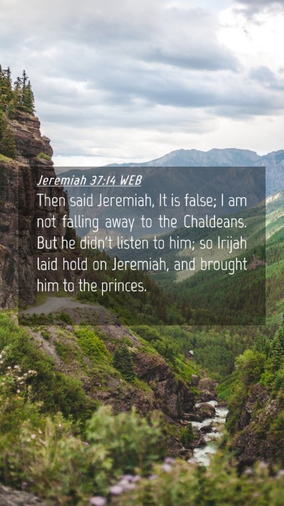 Picture 04 - Jeremiah 37:14 WEB Mobile Phone Wallpaper - Then said Jeremiah, It is false; I am not falling - Mobile Bible Verse Wallpaper