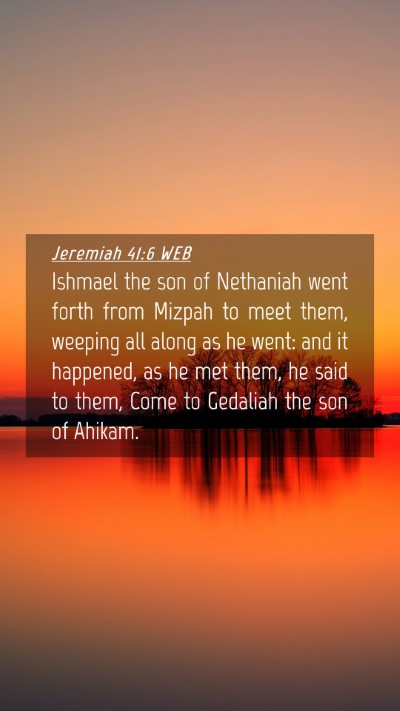 Picture 04 - Jeremiah 41:6 WEB Mobile Phone Wallpaper - Ishmael the son of Nethaniah went forth from - Mobile Bible Verse Wallpaper