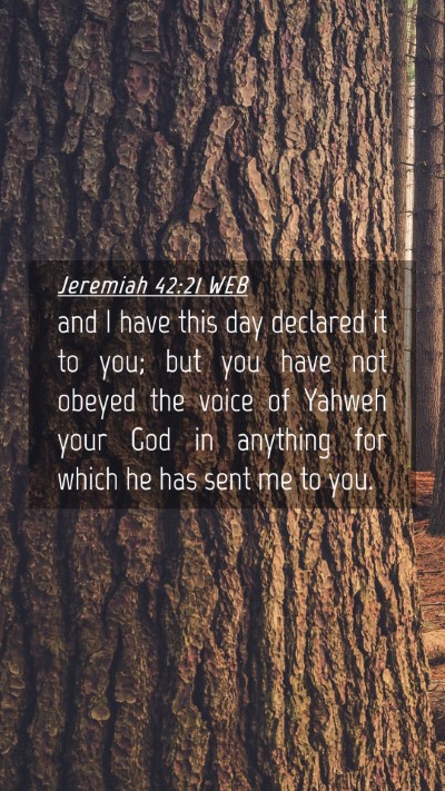 Picture 04 - Jeremiah 42:21 WEB Mobile Phone Wallpaper - and I have this day declared it to you; but you - Mobile Bible Verse Wallpaper