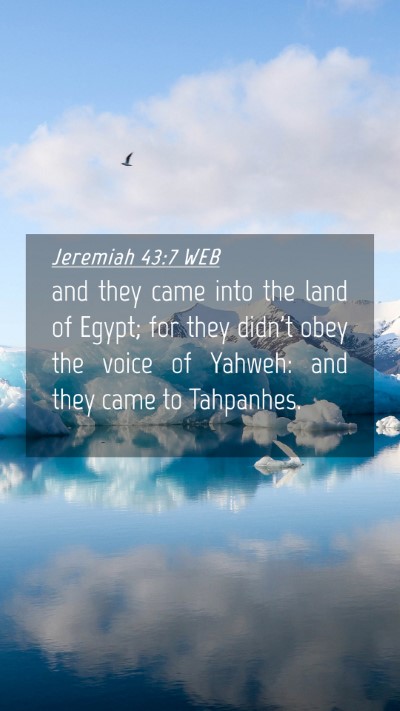 Picture 04 - Jeremiah 43:7 WEB Mobile Phone Wallpaper - and they came into the land of Egypt; for they - Mobile Bible Verse Wallpaper