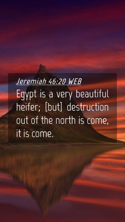 Picture 04 - Jeremiah 46:20 WEB Mobile Phone Wallpaper - Egypt is a very beautiful heifer; [but] - Mobile Bible Verse Wallpaper