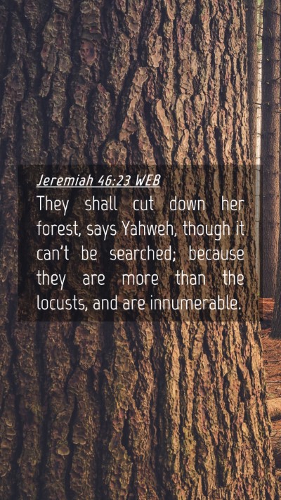 Picture 04 - Jeremiah 46:23 WEB Mobile Phone Wallpaper - They shall cut down her forest, says Yahweh, - Mobile Bible Verse Wallpaper