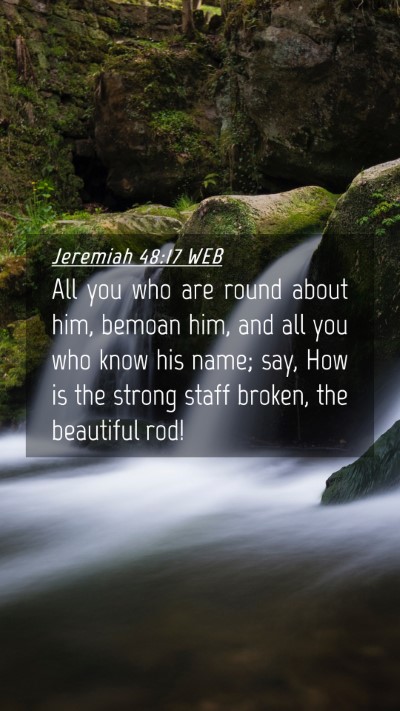 Picture 04 - Jeremiah 48:17 WEB Mobile Phone Wallpaper - All you who are round about him, bemoan him, and - Mobile Bible Verse Wallpaper