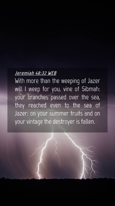 Picture 04 - Jeremiah 48:32 WEB Mobile Phone Wallpaper - With more than the weeping of Jazer will I weep - Mobile Bible Verse Wallpaper