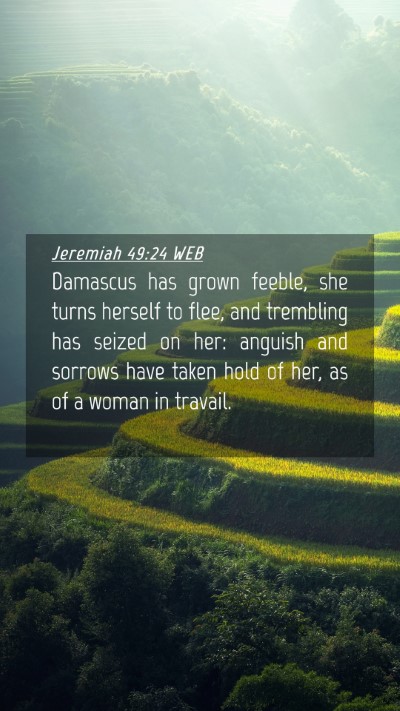 Picture 04 - Jeremiah 49:24 WEB Mobile Phone Wallpaper - Damascus has grown feeble, she turns herself to - Mobile Bible Verse Wallpaper
