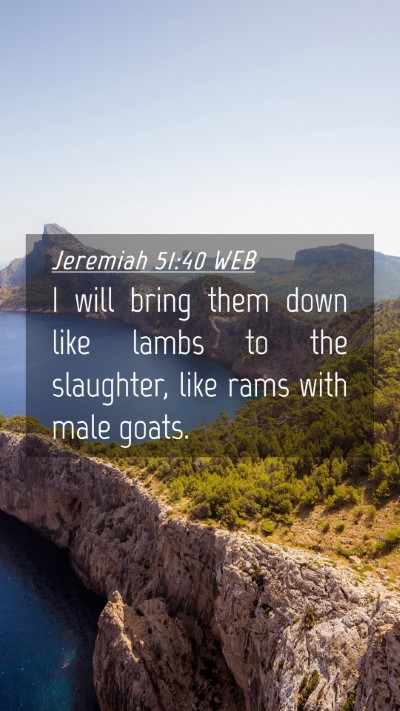 Picture 04 - Jeremiah 51:40 WEB Mobile Phone Wallpaper - I will bring them down like lambs to the - Mobile Bible Verse Wallpaper