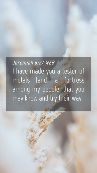 Picture 04 - Jeremiah 6:27 WEB Mobile Phone Wallpaper - I have made you a tester of metals [and] a - Mobile Bible Verse Wallpaper