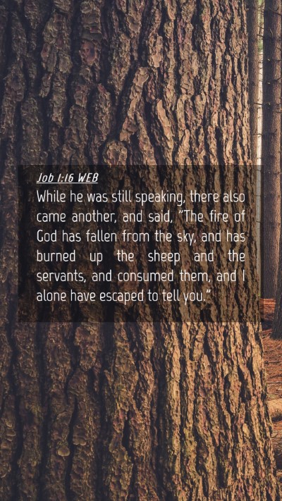 Picture 04 - Job 1:16 WEB Mobile Phone Wallpaper - While he was still speaking, there also came - Mobile Bible Verse Wallpaper