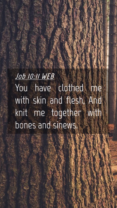 Picture 04 - Job 10:11 WEB Mobile Phone Wallpaper - You have clothed me with skin and flesh, And knit - Mobile Bible Verse Wallpaper