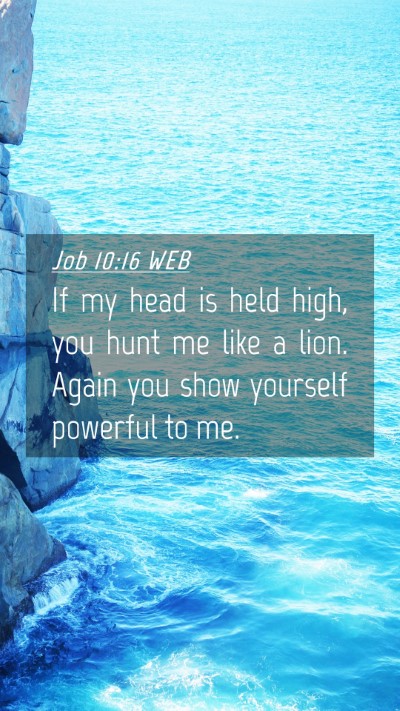 Picture 04 - Job 10:16 WEB Mobile Phone Wallpaper - If my head is held high, you hunt me like a lion. - Mobile Bible Verse Wallpaper