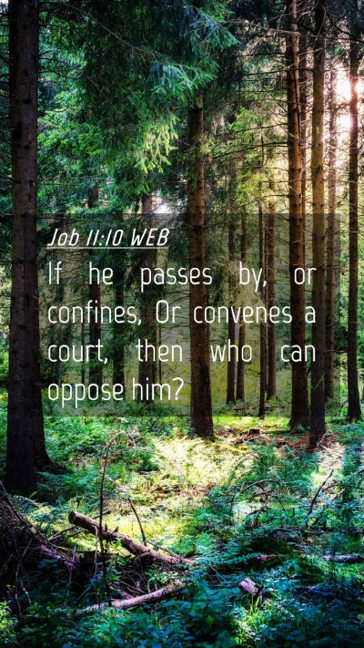 Picture 04 - Job 11:10 WEB Mobile Phone Wallpaper - If he passes by, or confines, Or convenes a - Mobile Bible Verse Wallpaper
