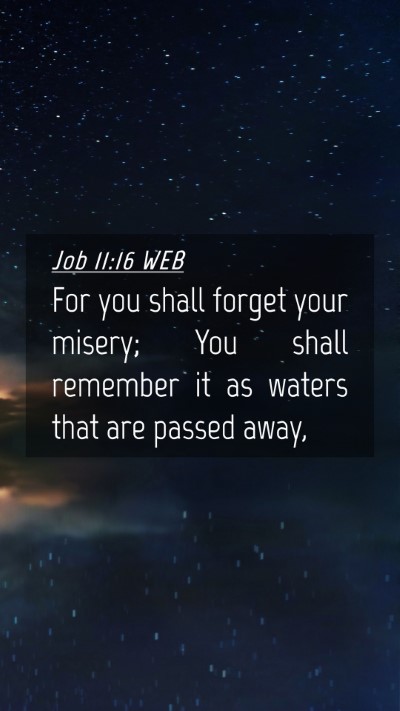 Picture 04 - Job 11:16 WEB Mobile Phone Wallpaper - For you shall forget your misery; You shall - Mobile Bible Verse Wallpaper