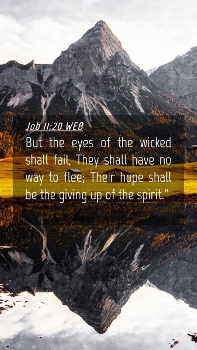 Picture 04 - Job 11:20 WEB Mobile Phone Wallpaper - But the eyes of the wicked shall fail, They shall - Mobile Bible Verse Wallpaper