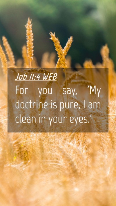 Picture 04 - Job 11:4 WEB Mobile Phone Wallpaper - For you say, 'My doctrine is pure, I am clean in - Mobile Bible Verse Wallpaper