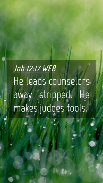 Picture 04 - Job 12:17 WEB Mobile Phone Wallpaper - He leads counselors away stripped. He makes - Mobile Bible Verse Wallpaper