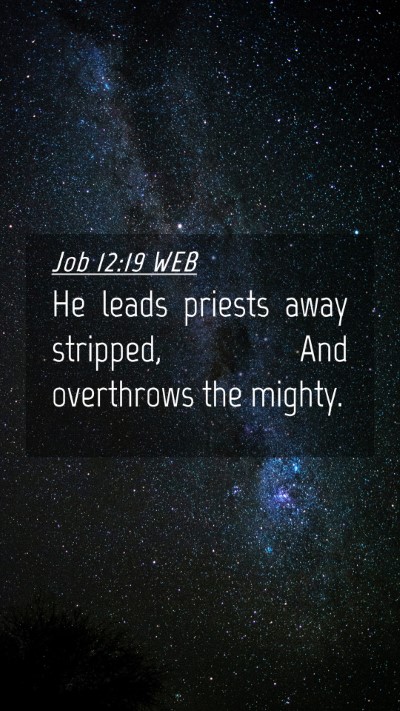 Picture 04 - Job 12:19 WEB Mobile Phone Wallpaper - He leads priests away stripped, And overthrows - Mobile Bible Verse Wallpaper