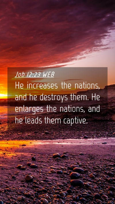 Picture 04 - Job 12:23 WEB Mobile Phone Wallpaper - He increases the nations, and he destroys them. - Mobile Bible Verse Wallpaper