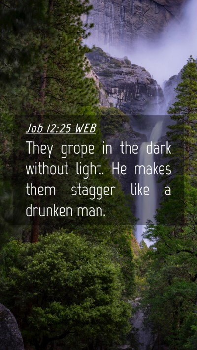 Picture 04 - Job 12:25 WEB Mobile Phone Wallpaper - They grope in the dark without light. He makes - Mobile Bible Verse Wallpaper