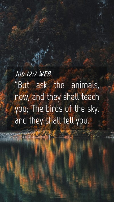 Picture 04 - Job 12:7 WEB Mobile Phone Wallpaper - 