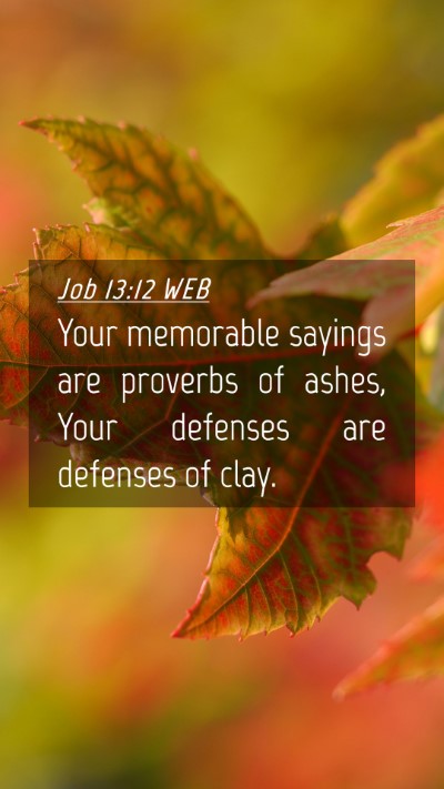 Picture 04 - Job 13:12 WEB Mobile Phone Wallpaper - Your memorable sayings are proverbs of ashes, - Mobile Bible Verse Wallpaper