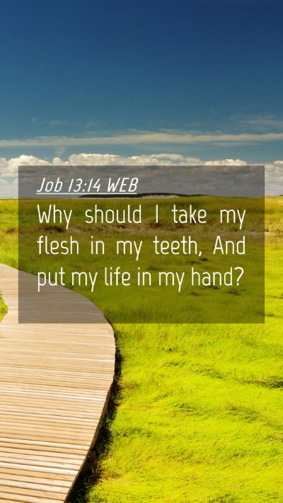 Picture 04 - Job 13:14 WEB Mobile Phone Wallpaper - Why should I take my flesh in my teeth, And put - Mobile Bible Verse Wallpaper