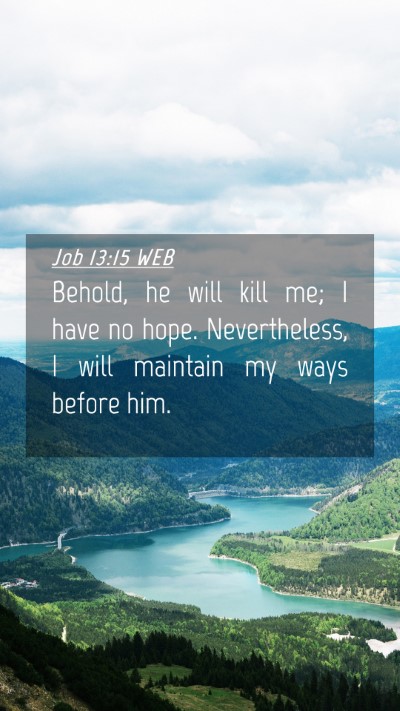 Picture 04 - Job 13:15 WEB Mobile Phone Wallpaper - Behold, he will kill me; I have no hope. - Mobile Bible Verse Wallpaper