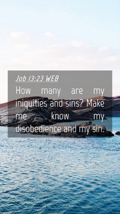 Picture 04 - Job 13:23 WEB Mobile Phone Wallpaper - How many are my iniquities and sins? Make me know - Mobile Bible Verse Wallpaper