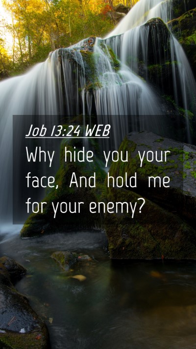Picture 04 - Job 13:24 WEB Mobile Phone Wallpaper - Why hide you your face, And hold me for your - Mobile Bible Verse Wallpaper