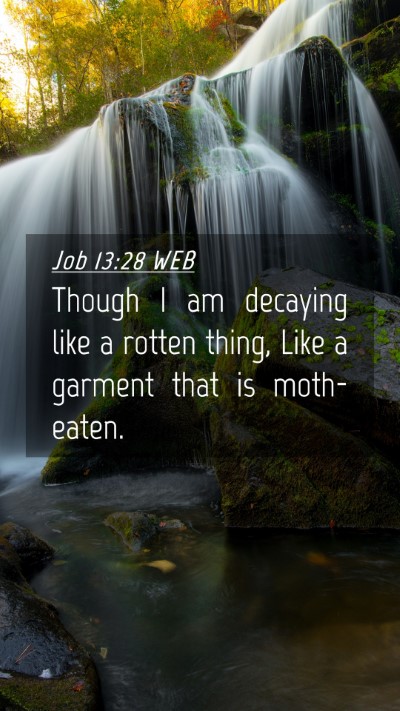 Picture 04 - Job 13:28 WEB Mobile Phone Wallpaper - Though I am decaying like a rotten thing, Like a - Mobile Bible Verse Wallpaper