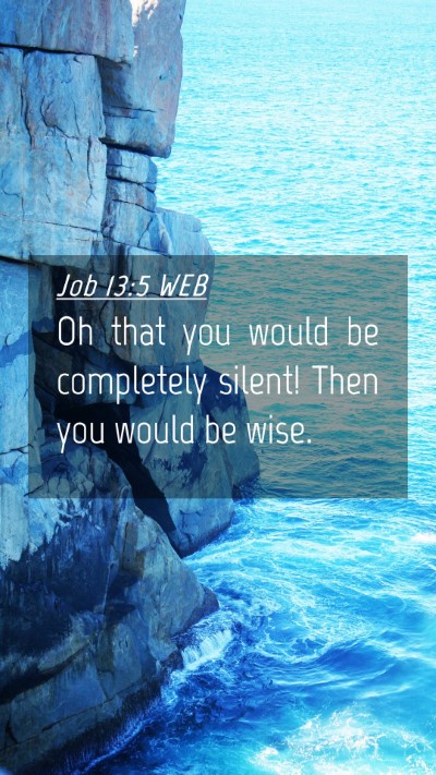 Picture 04 - Job 13:5 WEB Mobile Phone Wallpaper - Oh that you would be completely silent! Then you - Mobile Bible Verse Wallpaper